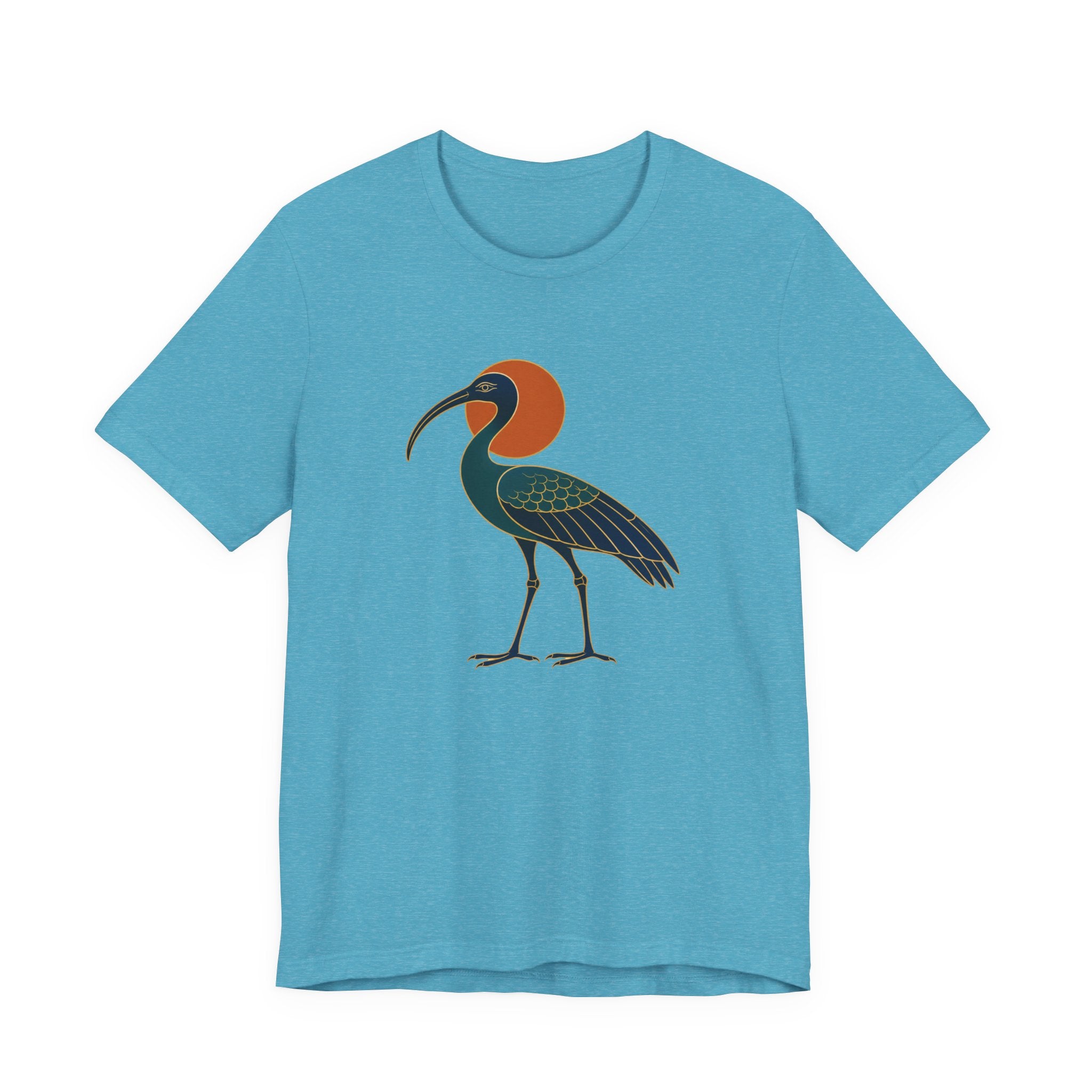 Egyptian Ibis