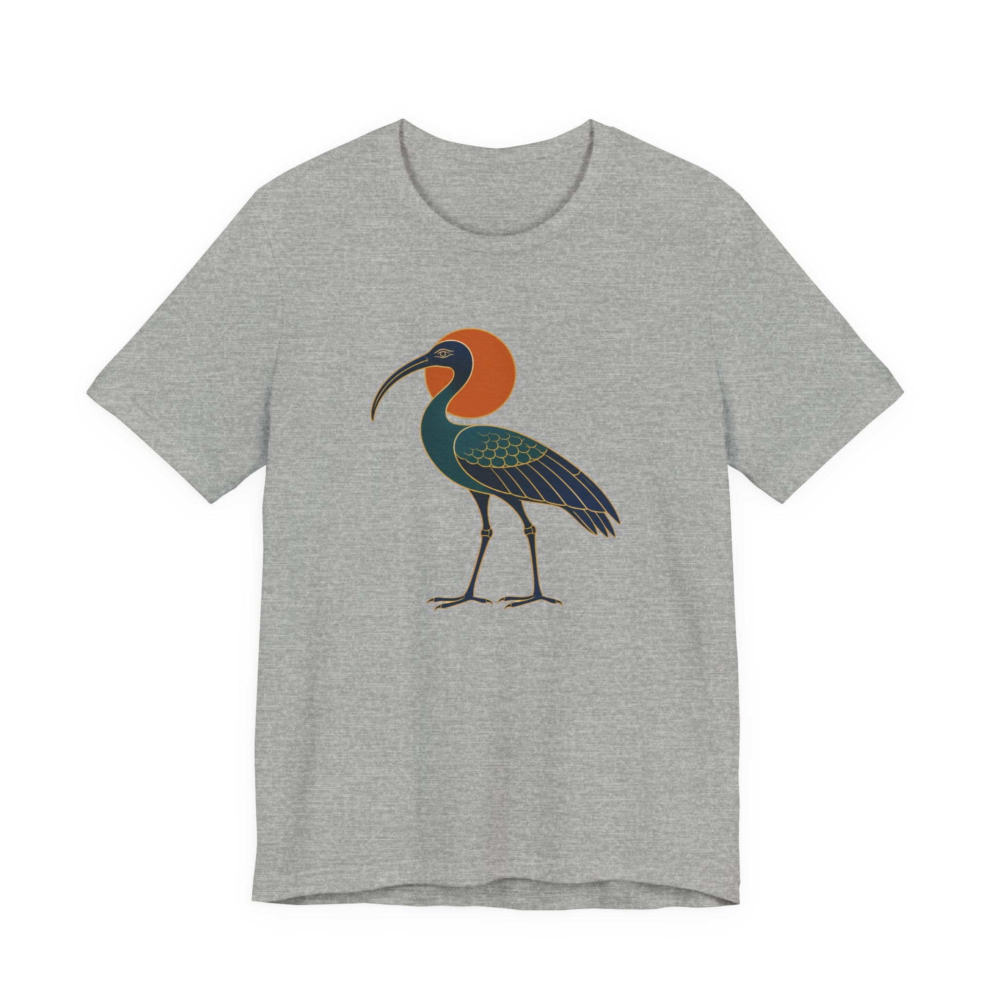 Egyptian Ibis