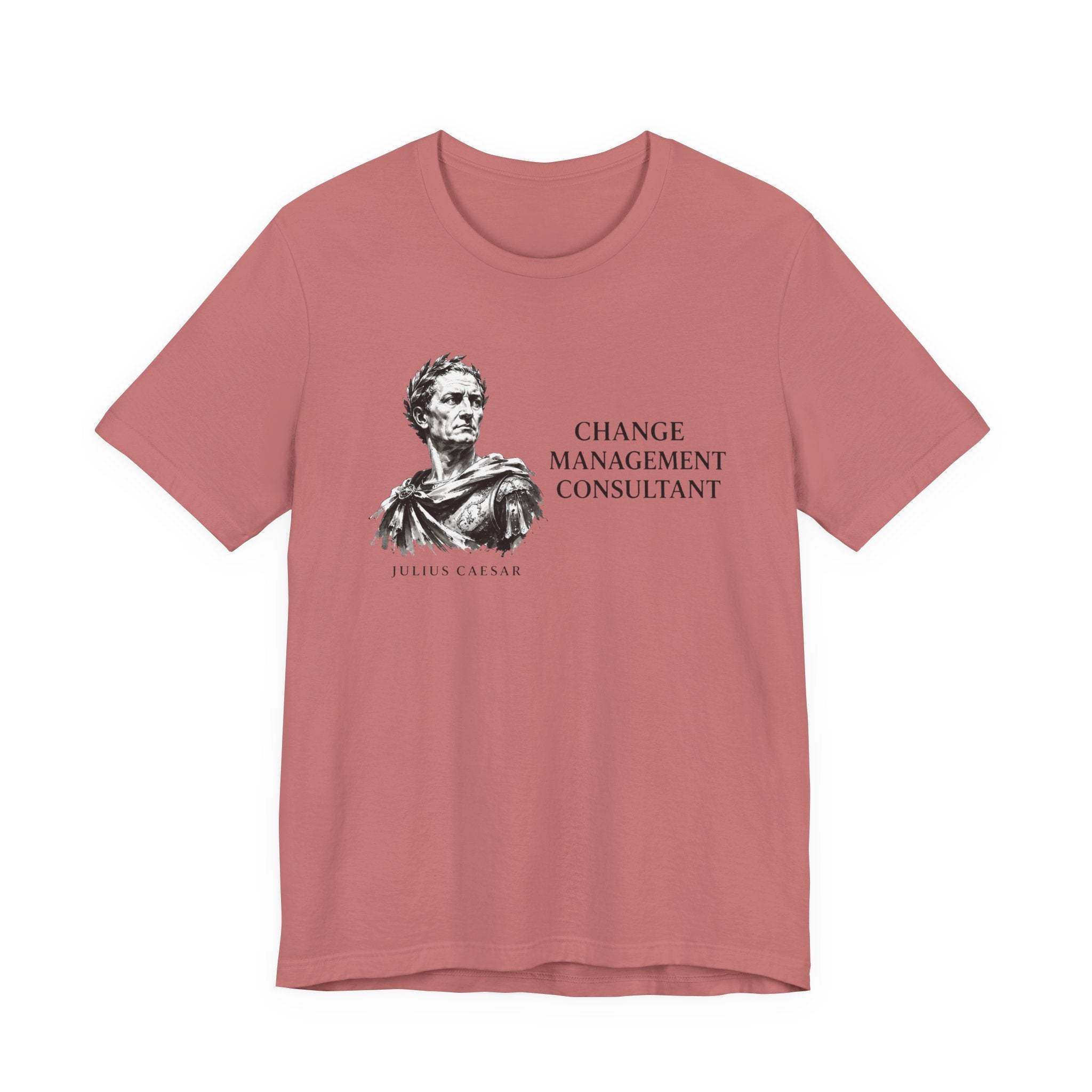 Change Management Consultant, Julius Caesar