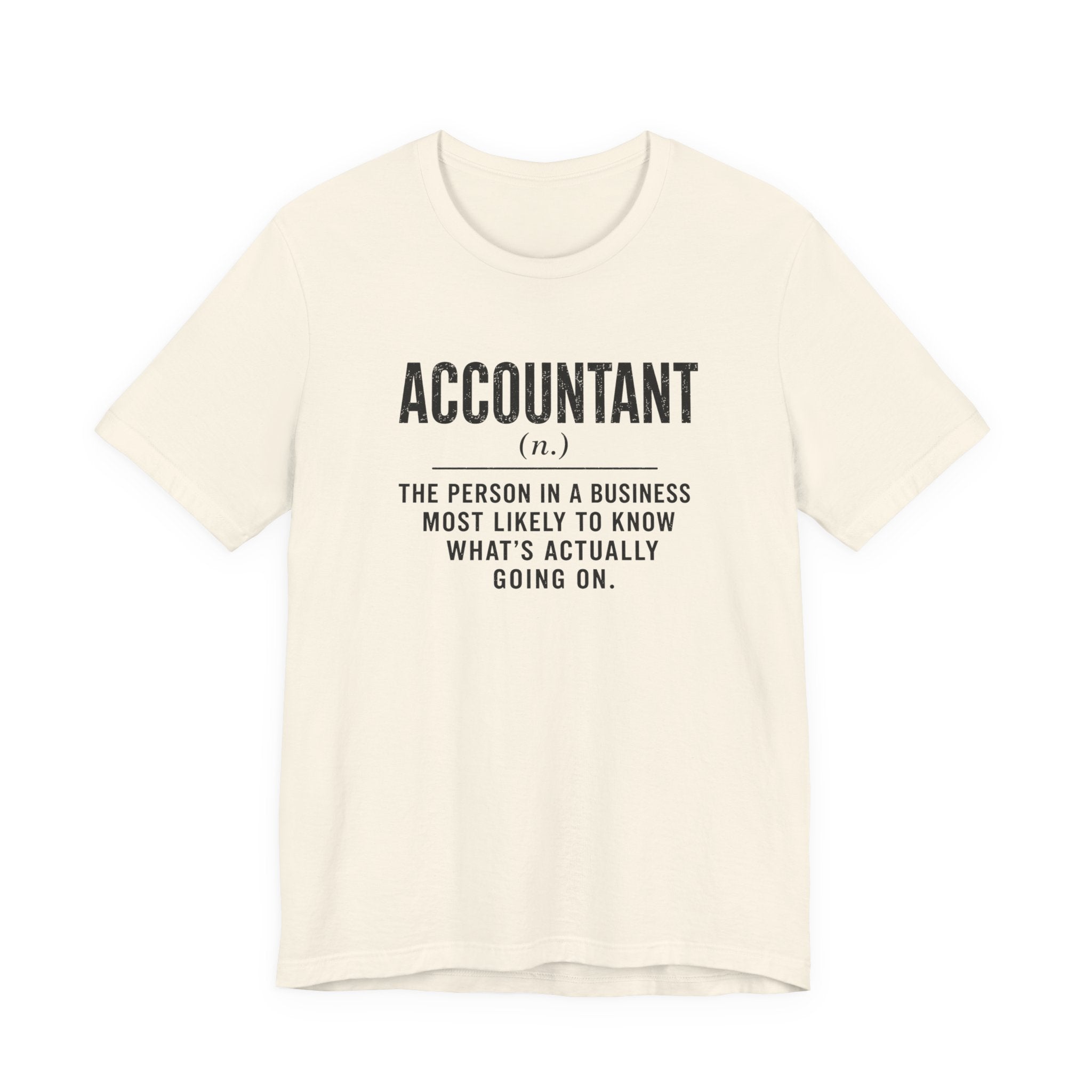 Accountant Definition