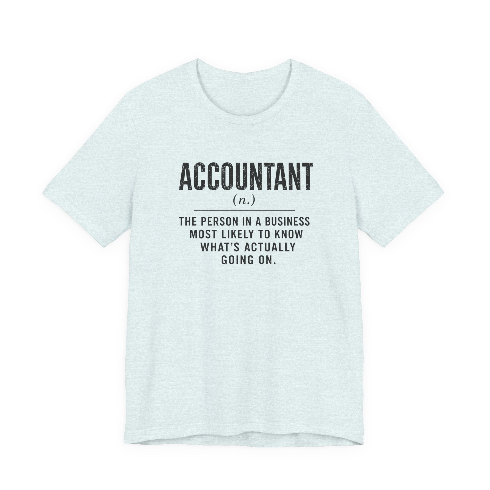Accountant Definition
