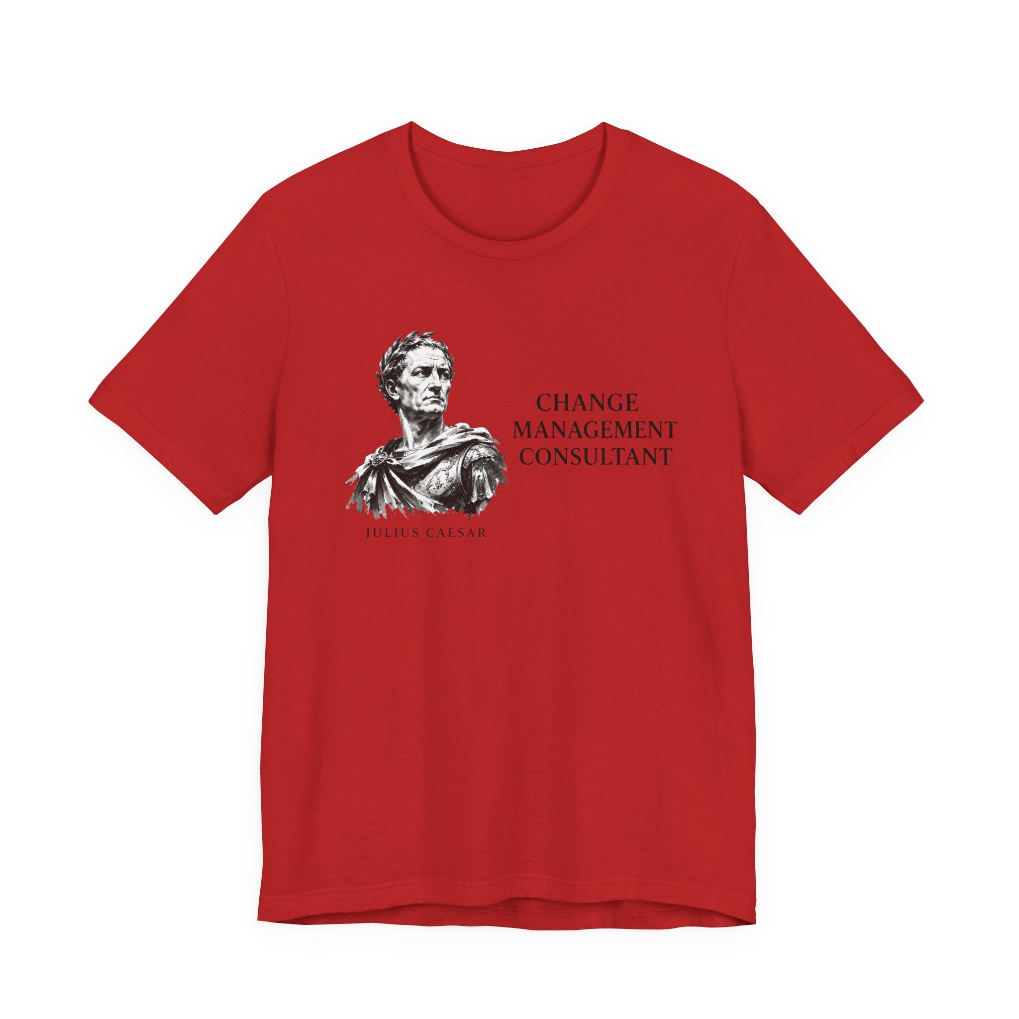 Change Management Consultant, Julius Caesar