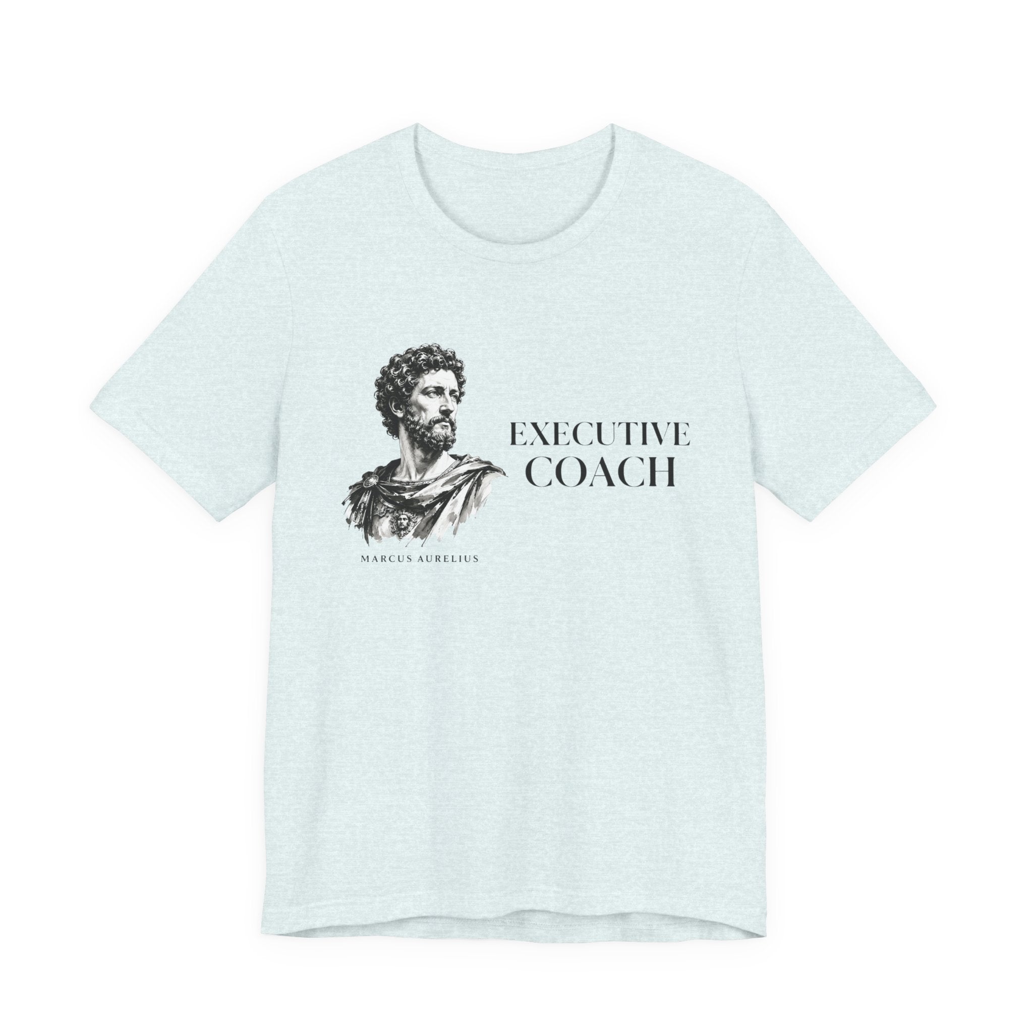 Executive Coach, Marcus Aurelius