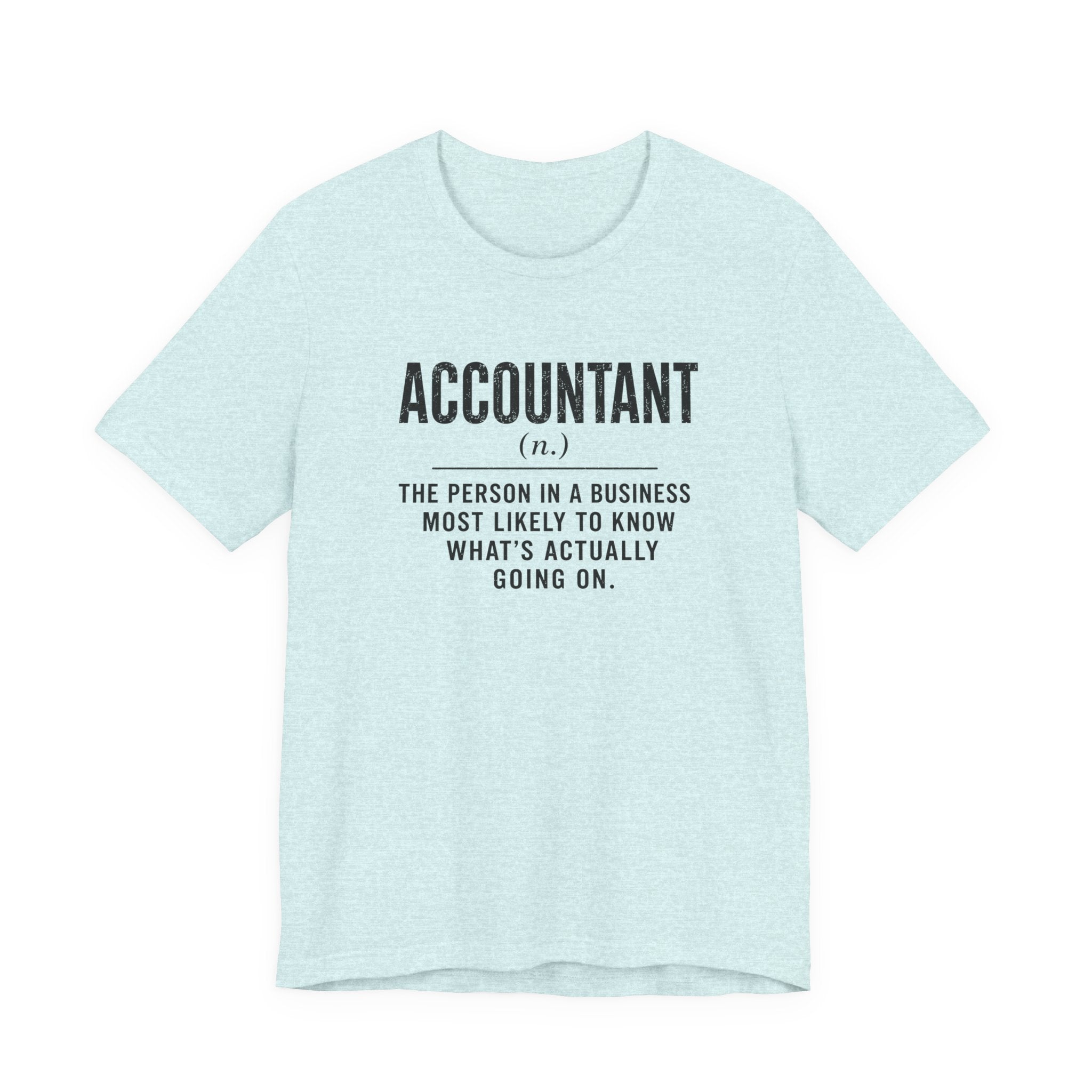 Accountant Definition