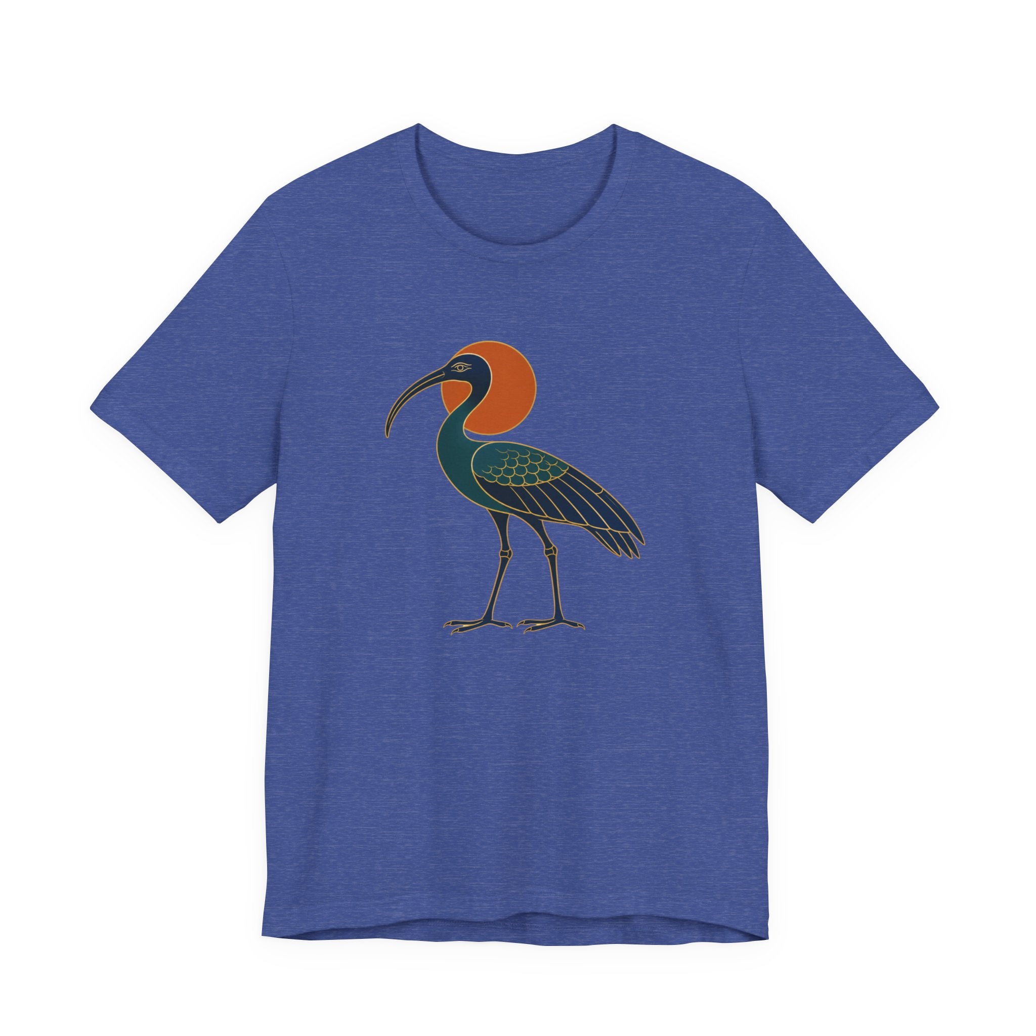 Egyptian Ibis