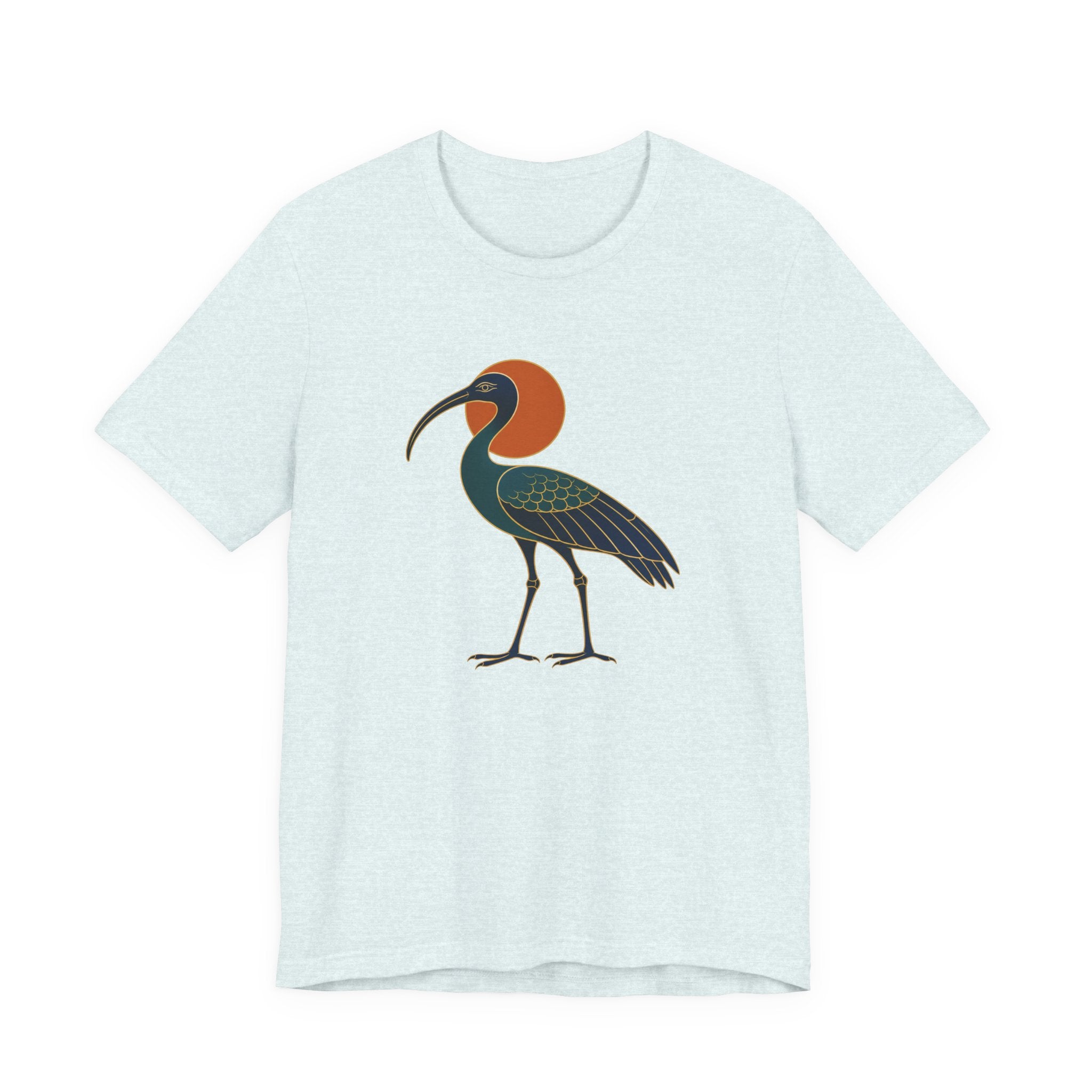 Egyptian Ibis
