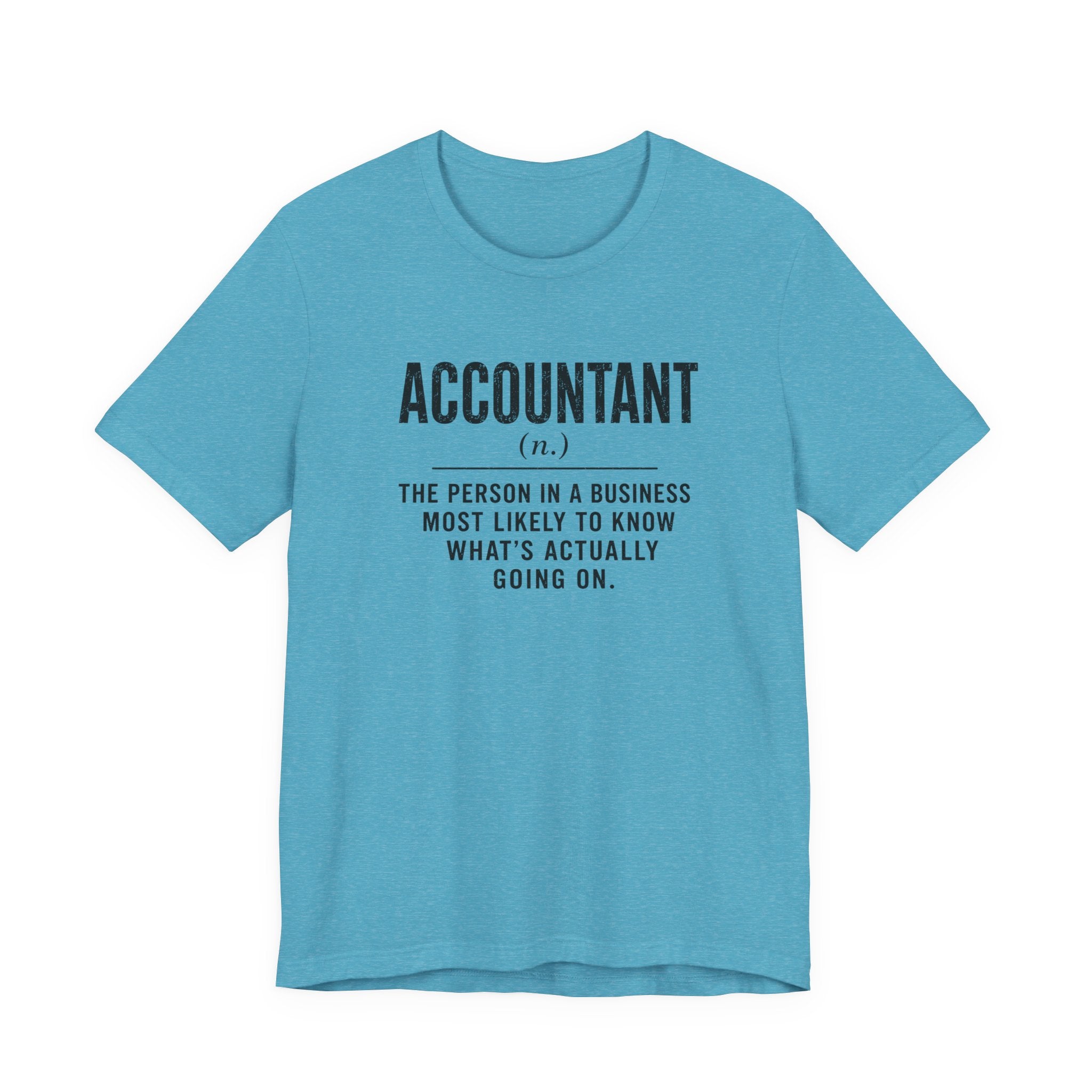 Accountant Definition
