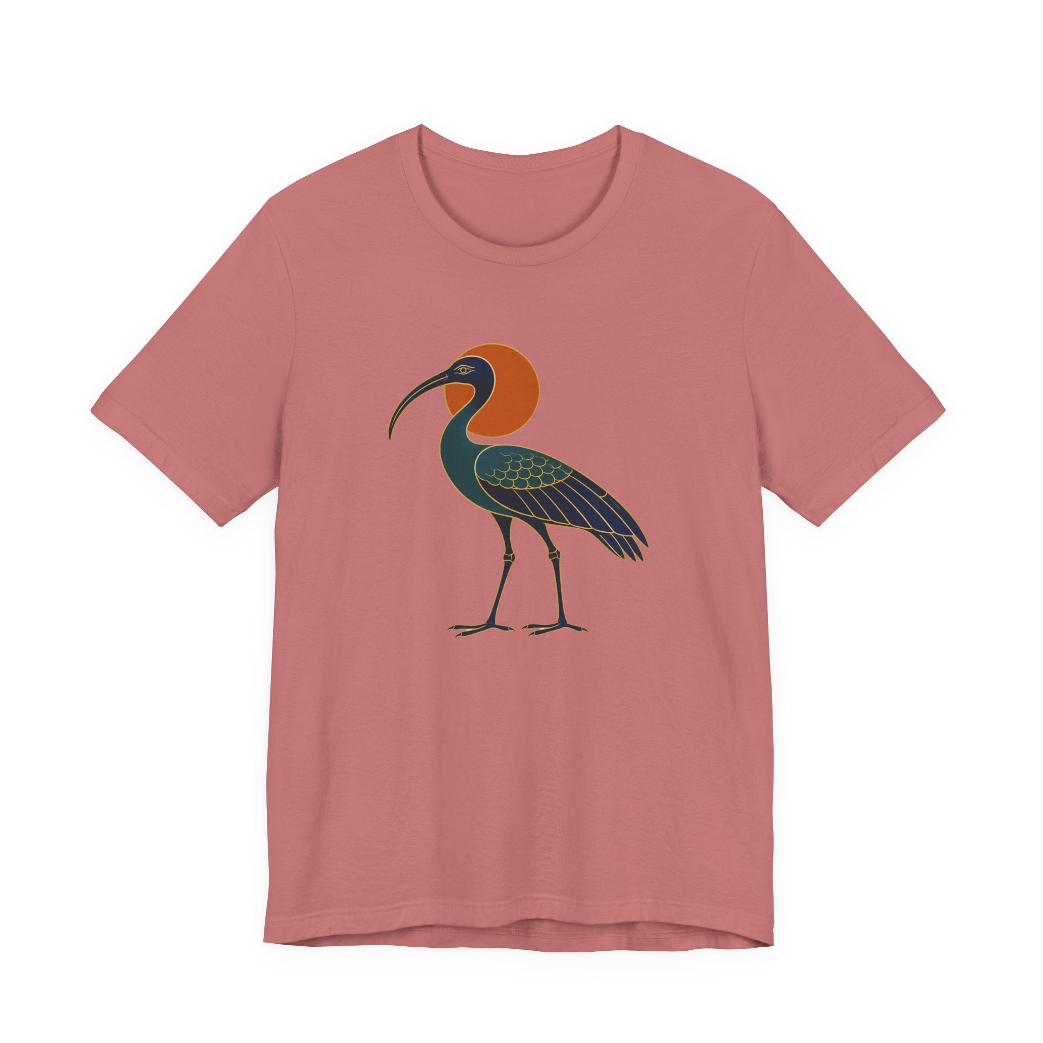 Egyptian Ibis